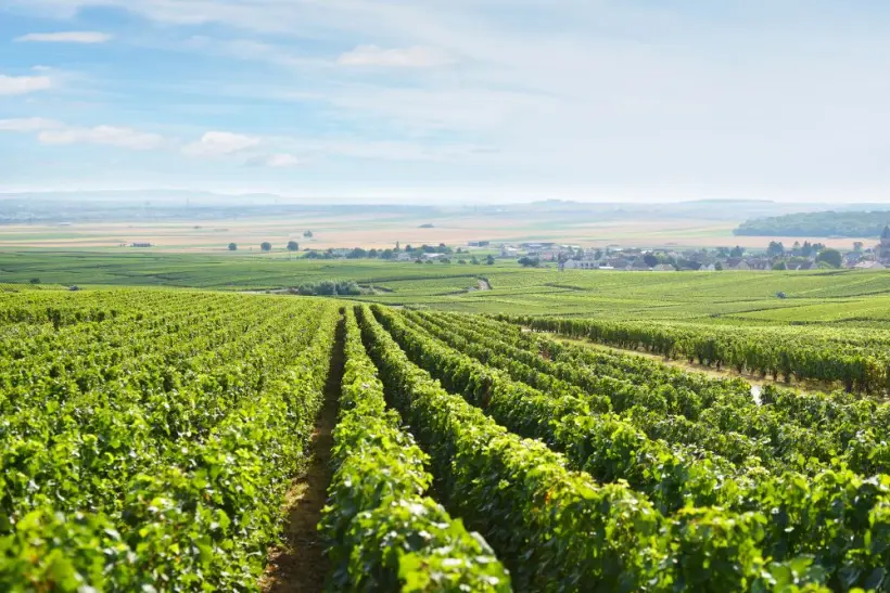 Design ohne Titel (51)